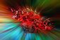 Scorpionfish